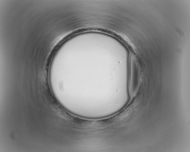 X0000115500879200911271408