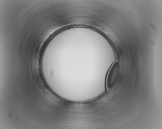 X0000115500880200911271408