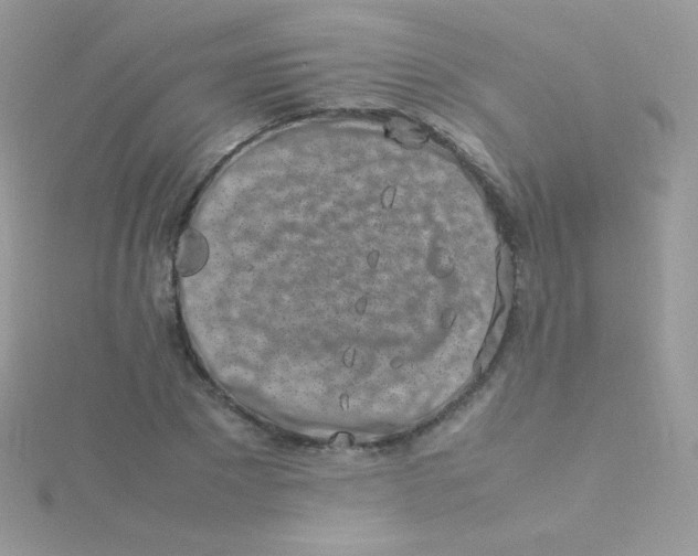 X0000115500881200911271407