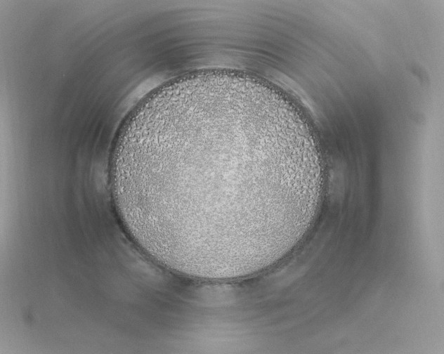 X0000115500882200911271407