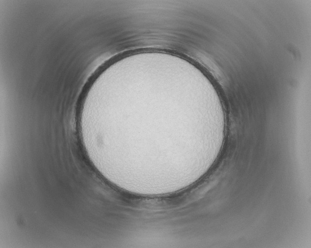 X0000115500883200911271407