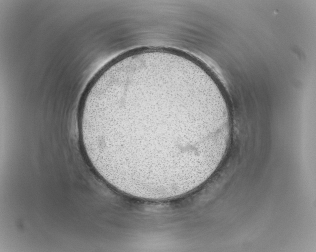 X0000115500887200911271407