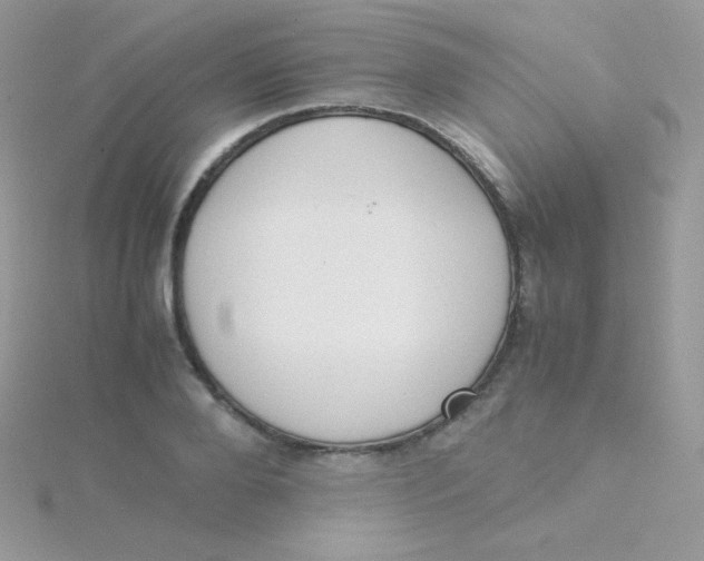 X0000115500888200911271407