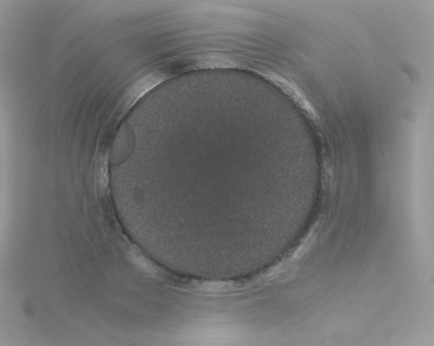 X0000115500889200911271407