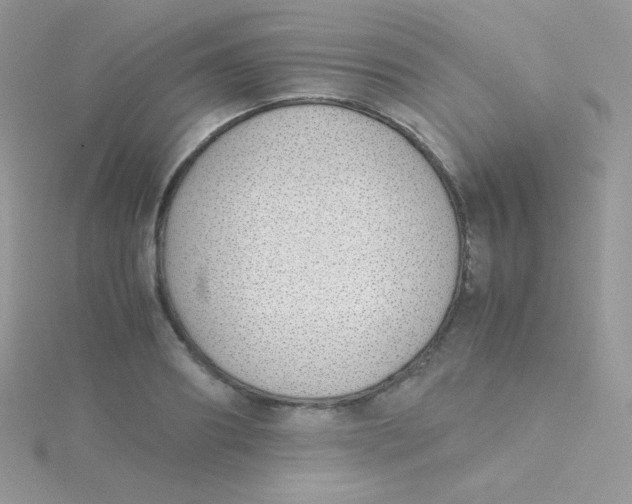 X0000115500890200911271407