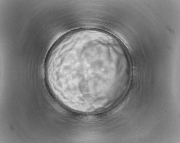 X0000115500891200911271407