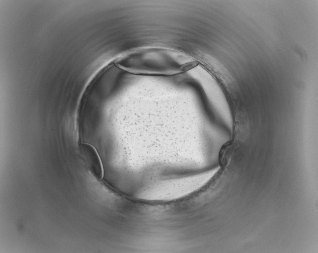 X0000115500892200911271407