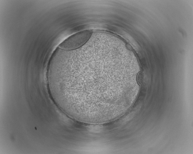 X0000115500893200911271407