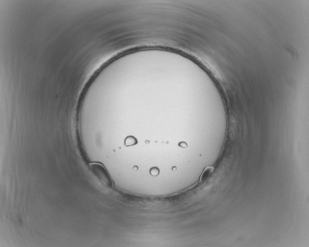 X0000115500895200911271407