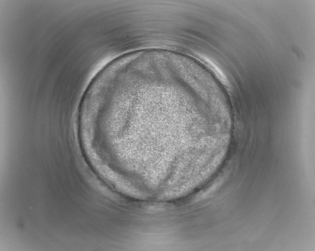 X0000115500899200911271407