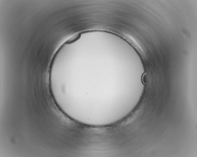 X0000115500900200911271407