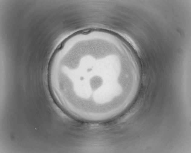 X0000115500903200911271407