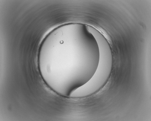 X0000115500904200911271407