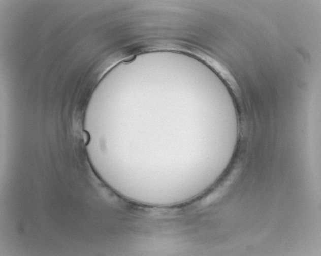 X0000115500905200911271407