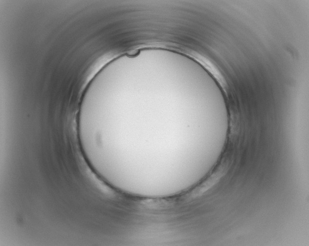 X0000115500906200911271407