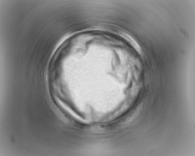 X0000115500907200911271407