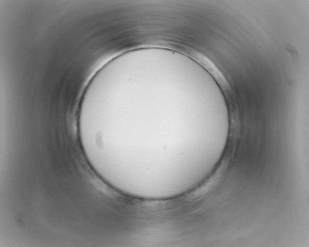 X0000115500908200911271407