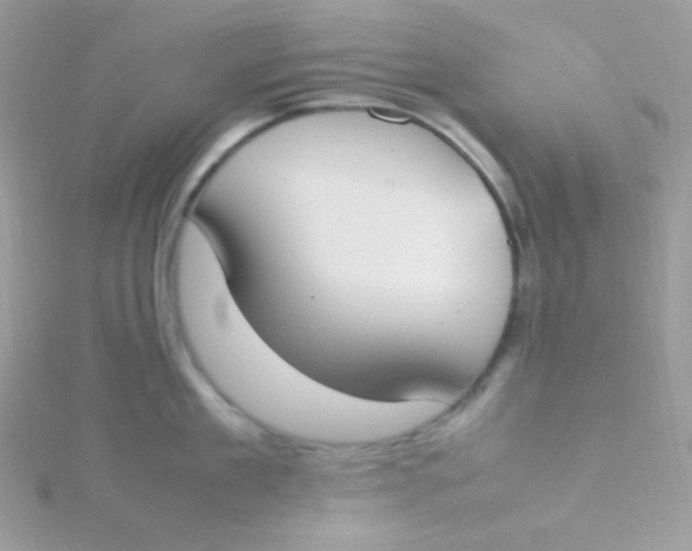 X0000115500909200911271407