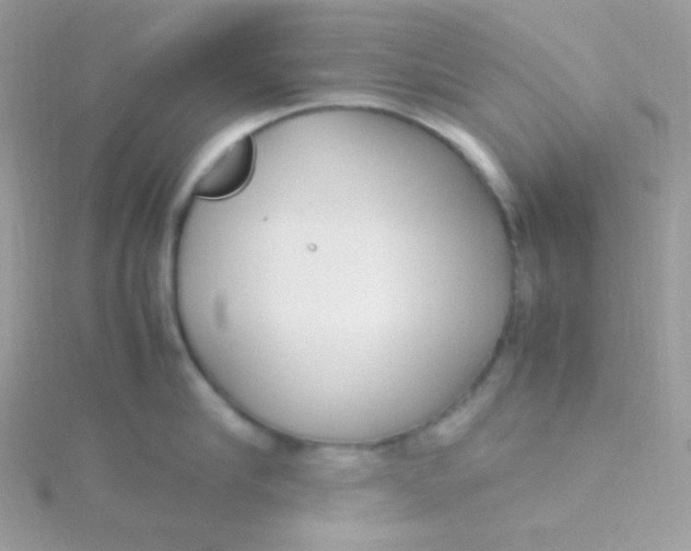 X0000115500910200911271407