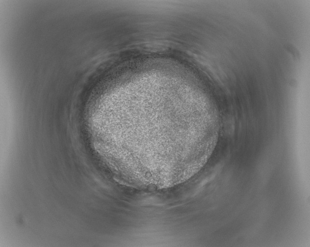 X0000115500913200911271406