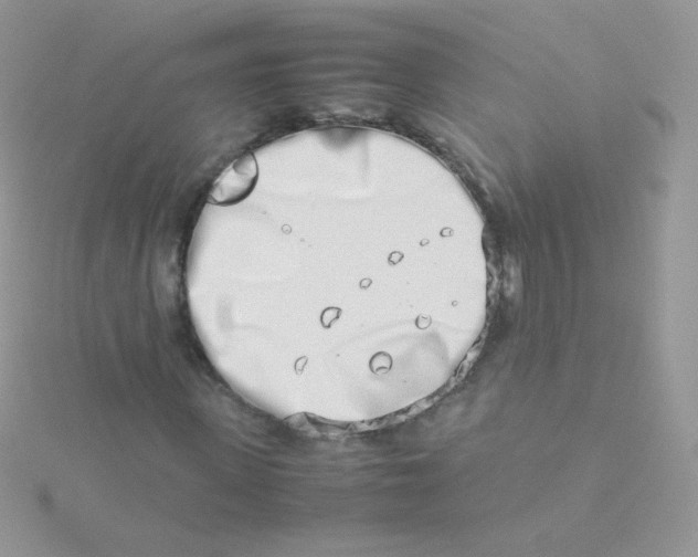 X0000115500915200911271406