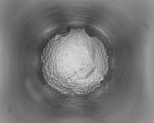 X0000115500917200911271406