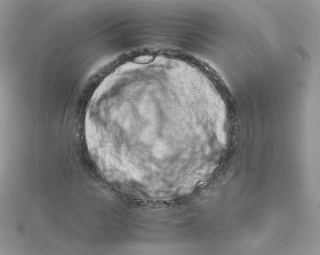 X0000115500919200911271406