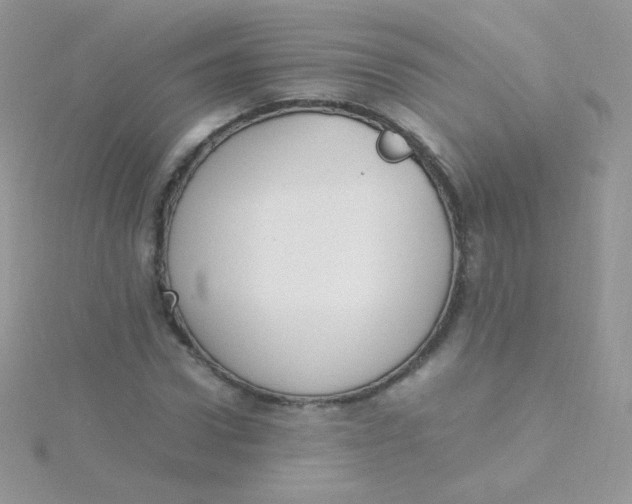 X0000115500922200911271406