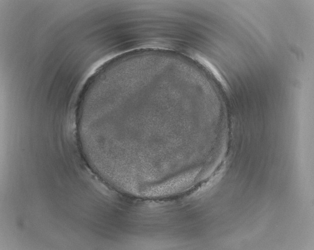 X0000115500923200911271407