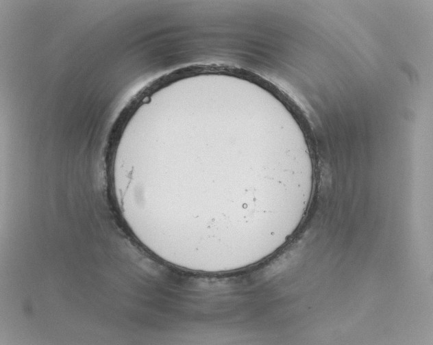 X0000115500927200911271407