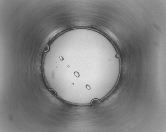 X0000115500930200911271407