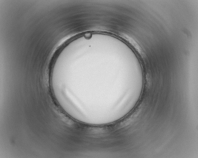 X0000115500931200911271407