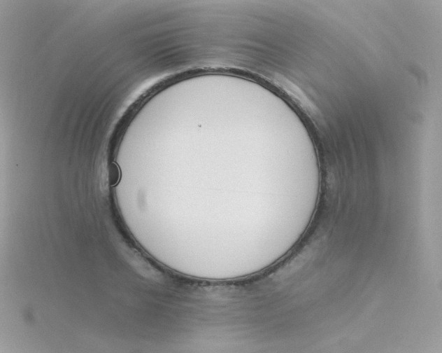 X0000115500934200911271407