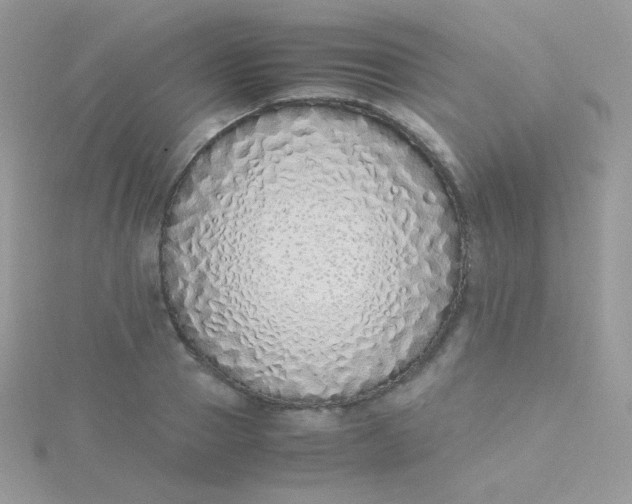 X0000115500937200911271407