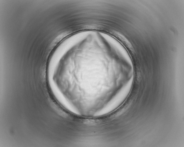 X0000115500938200911271407