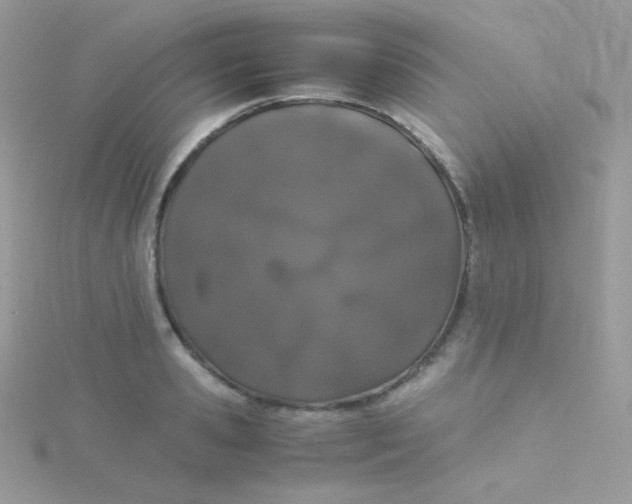 X0000115500941200911271407