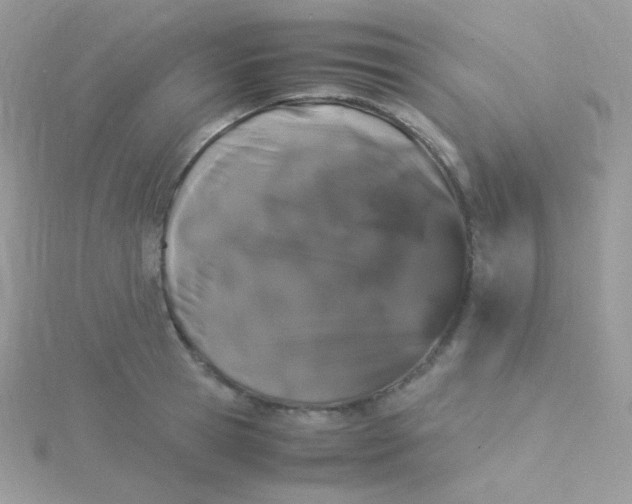 X0000115500945200911271407