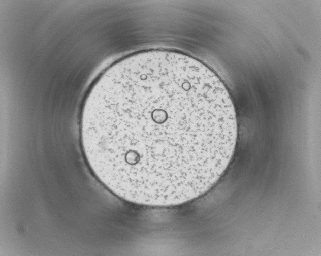 X0000115500950200911271407