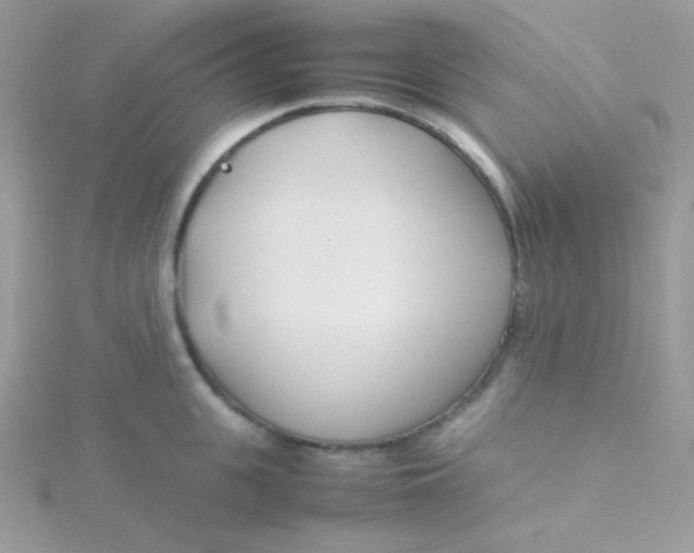 X0000115500951200911271407