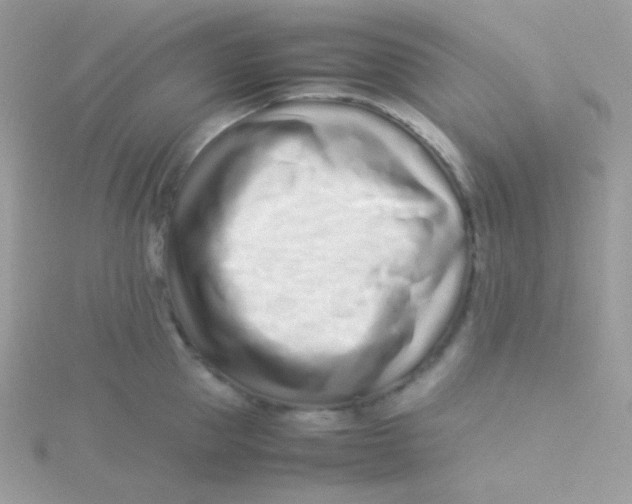 X0000115500953200911271407