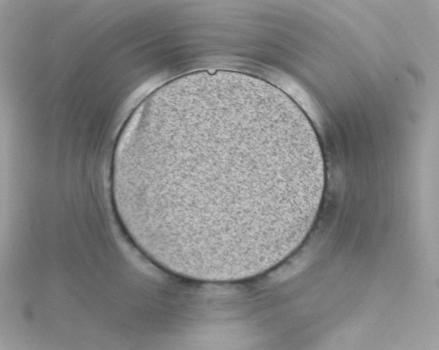 X0000115500954200911271407