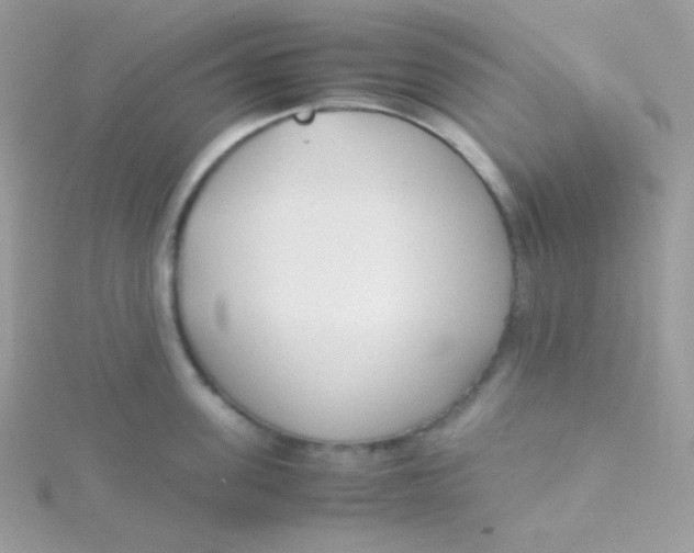 X0000115500955200911271407