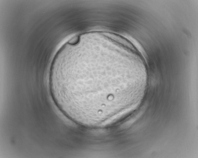 X0000115500957200911271407