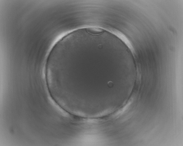 X0000115500958200911271407