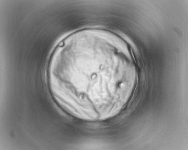 X0000115500959200911271407