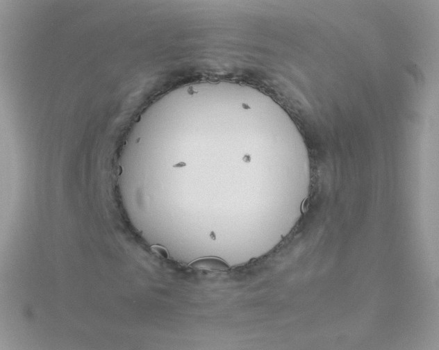 X0000115500961200911271406