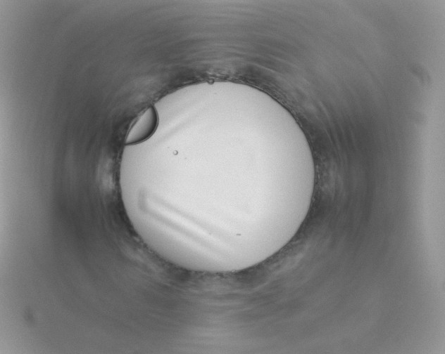 X0000115500962200911271406