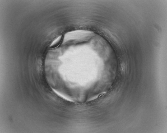 X0000115500964200911271406