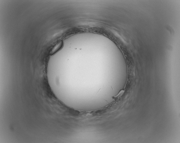 X0000115500965200911271406