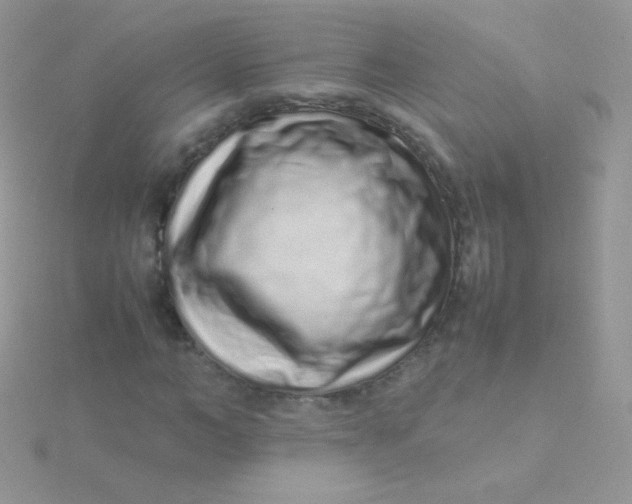 X0000115500966200911271406